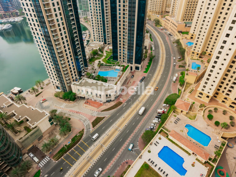 DSCF2162