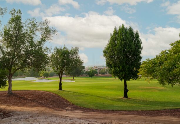 Earth Course JGE villas for sale